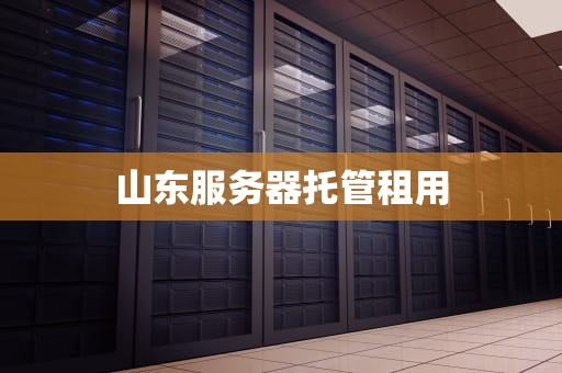 山东服务器托管租用