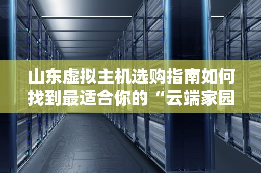 山东虚拟主机选购指南如何找到最适合你的“云端家园”？