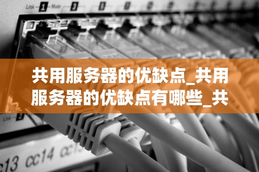共用服务器的优缺点_共用服务器的优缺点有哪些_共用服务器的优缺点分析
