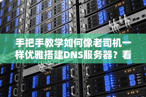 手把手教学如何像老司机一样优雅搭建DNS服务器？看完这篇你也能当域名快递站站长！