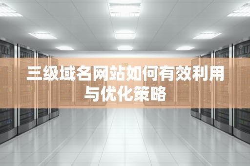 三级域名网站如何有效利用与优化策略