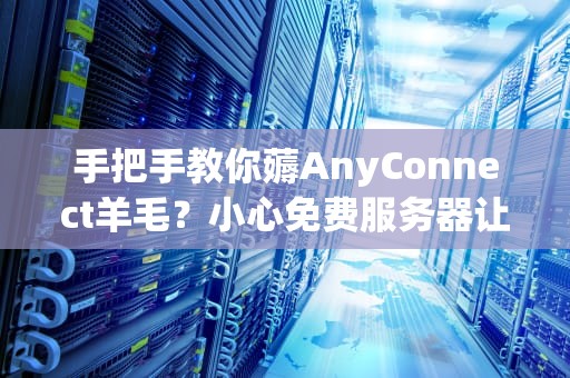 手把手教你薅AnyConnect羊毛？小心免费服务器让你赔掉底裤！