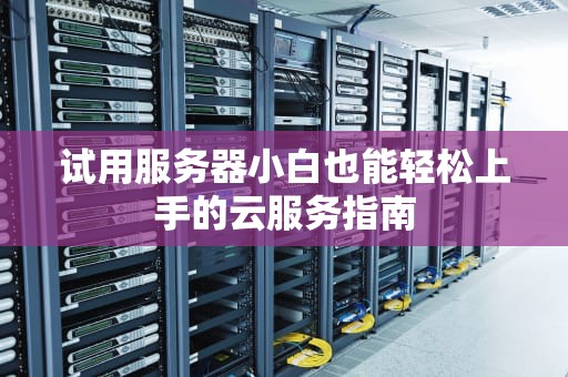 试用服务器小白也能轻松上手的云服务指南