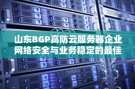 山东BGP高防云服务器企业网络安全与业务稳定的最佳选择