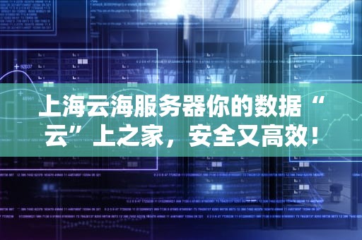 上海云海服务器你的数据“云”上之家，安全又高效！