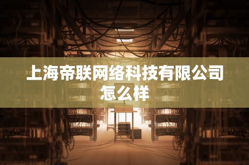上海帝联网络科技有限公司怎么样