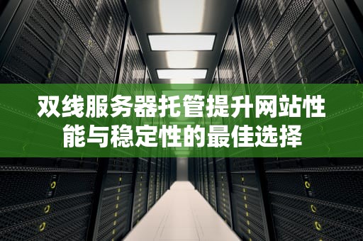 双线服务器托管提升网站性能与稳定性的最佳选择