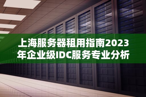 上海服务器租用指南2023年企业级IDC服务专业分析与实战建议