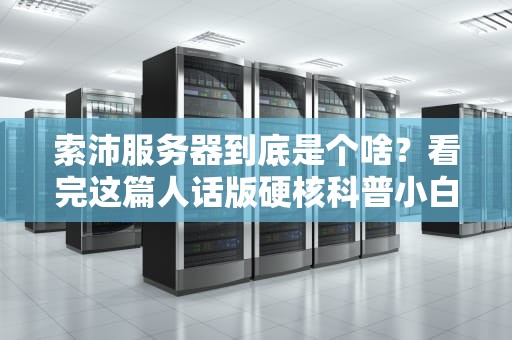 索沛服务器到底是个啥？看完这篇人话版硬核科普小白也能秒懂！