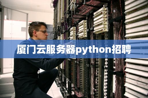 厦门云服务器python招聘