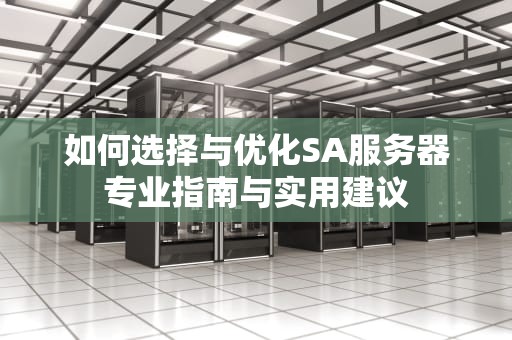 如何选择与优化SA服务器专业指南与实用建议