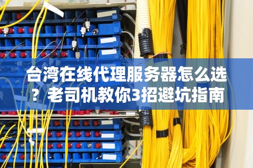 台湾在线代理服务器怎么选？老司机教你3招避坑指南