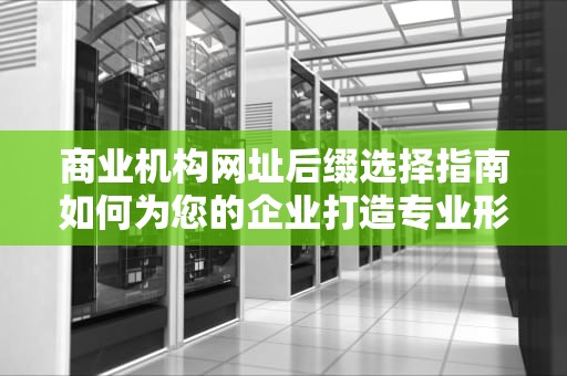 商业机构网址后缀选择指南如何为您的企业打造专业形象