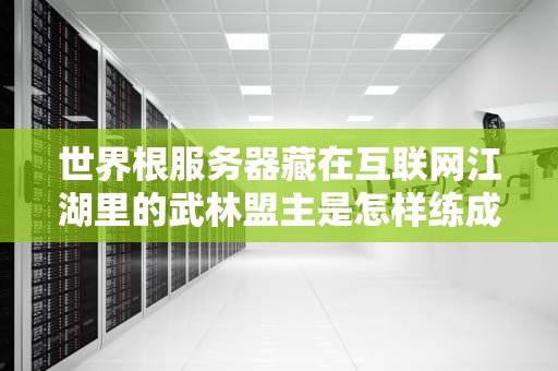 世界根服务器藏在互联网江湖里的武林盟主是怎样练成的？