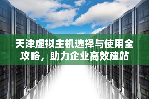 天津虚拟主机选择与使用全攻略，助力企业高效建站
