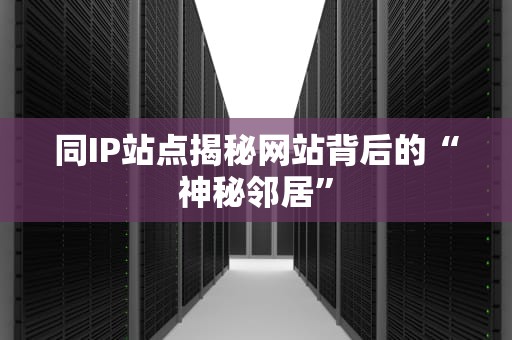同IP站点揭秘网站背后的“神秘邻居”