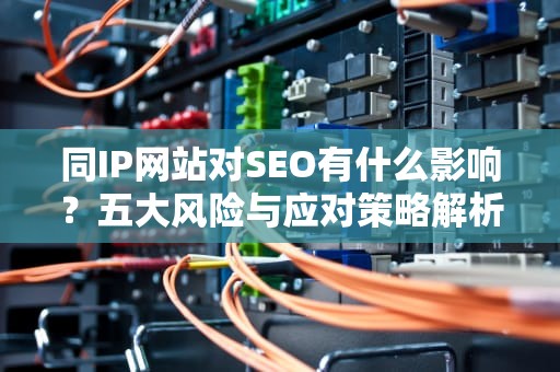 同IP网站对SEO有什么影响？五大风险与应对策略解析