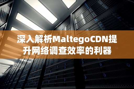 深入解析MaltegoCDN提升网络调查效率的利器