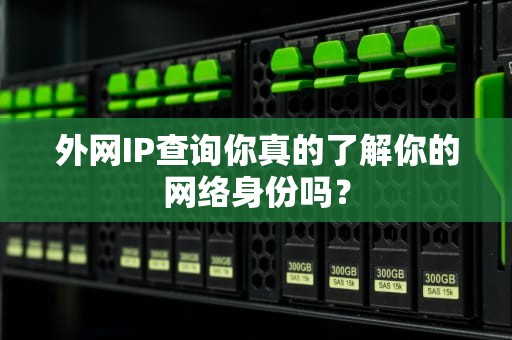 外网IP查询你真的了解你的网络身份吗？