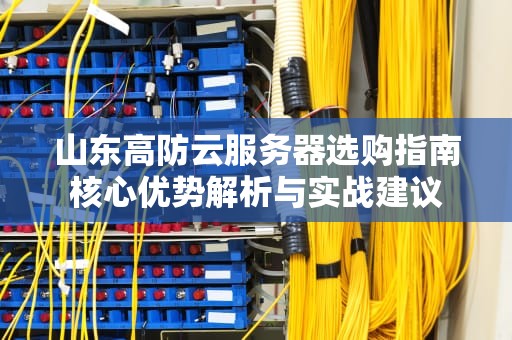 山东高防云服务器选购指南核心优势解析与实战建议