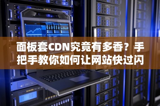 面板套CDN究竟有多香？手把手教你如何让网站快过闪电侠（附避坑指南）