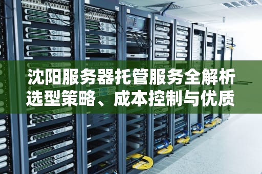 沈阳服务器托管服务全解析选型策略、成本控制与优质机房推荐