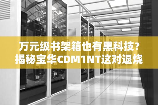 万元级书架箱也有黑科技？揭秘宝华CDM1NT这对退烧神器的隐藏玩法