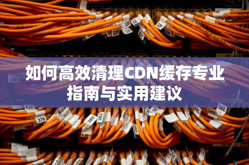 如何高效清理CDN缓存专业指南与实用建议