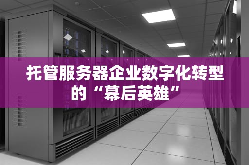 托管服务器企业数字化转型的“幕后英雄”