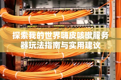 探索我的世界嗨皮咳嗽服务器玩法指南与实用建议