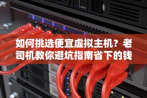 如何挑选便宜虚拟主机？老司机教你避坑指南省下的钱够买三年奶茶！