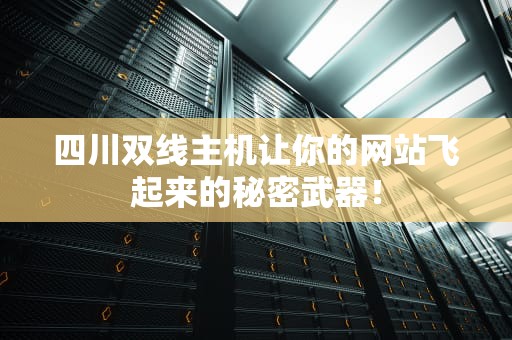 四川双线主机让你的网站飞起来的秘密武器！