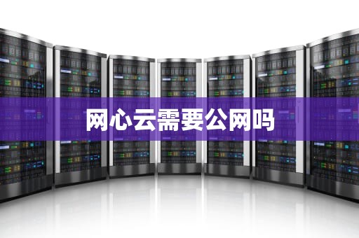网心云需要公网吗