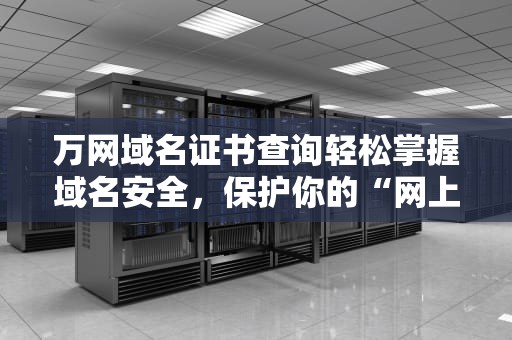 万网域名证书查询轻松掌握域名安全，保护你的“网上门牌”