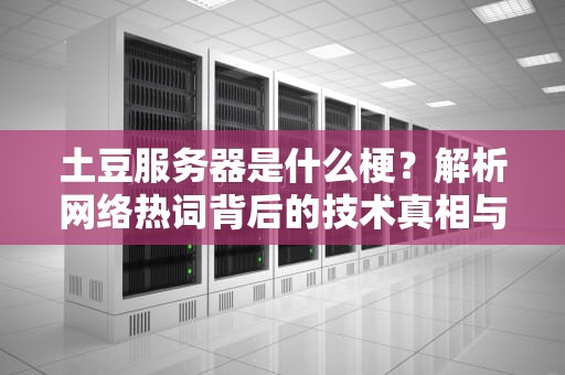 土豆服务器是什么梗？解析网络热词背后的技术真相与优化方案