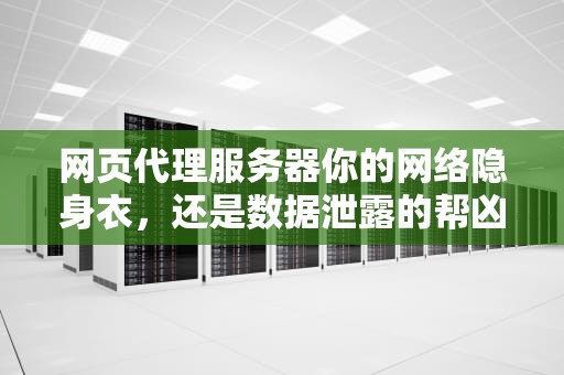 网页代理服务器你的网络隐身衣，还是数据泄露的帮凶？