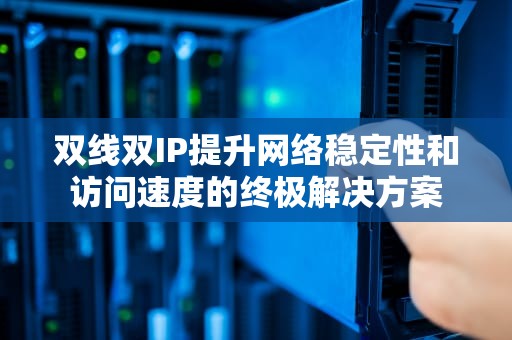 双线双IP提升网络稳定性和访问速度的终极解决方案