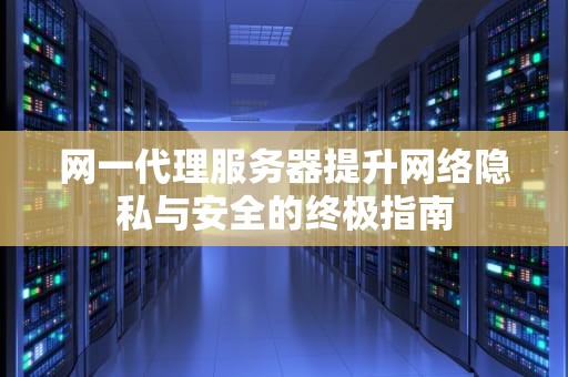 网一代理服务器提升网络隐私与安全的终极指南