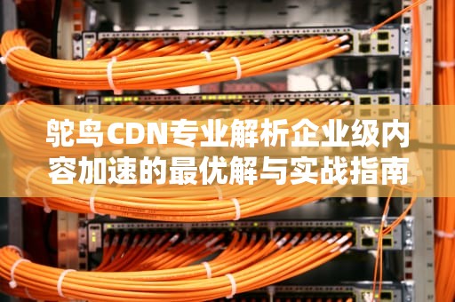 鸵鸟CDN专业解析企业级内容加速的最优解与实战指南