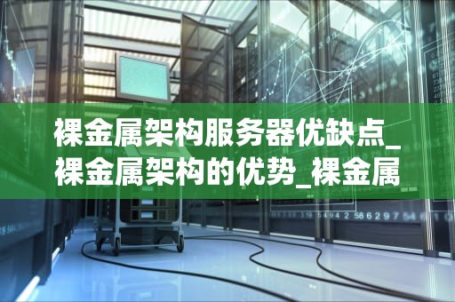 裸金属架构服务器优缺点_裸金属架构的优势_裸金属架构服务器的优缺点分析