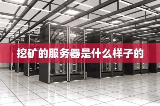 挖矿的服务器是什么样子的
