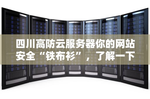 四川高防云服务器你的网站安全“铁布衫”，了解一下？