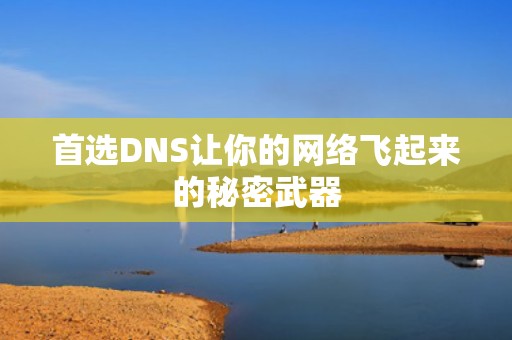 首选DNS让你的网络飞起来的秘密武器