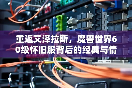 重返艾泽拉斯，魔兽世界60级怀旧服背后的经典与情怀交织，魔兽世界60级怀旧服什么职业最好