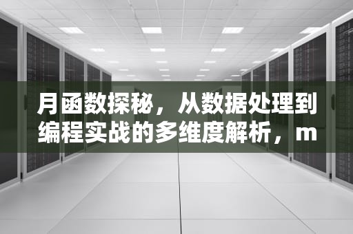 月函数探秘，从数据处理到编程实战的多维度解析，month函数提取月份
