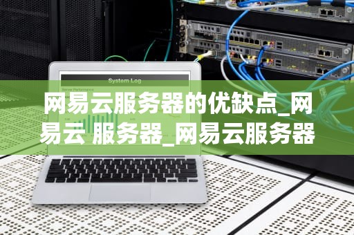 网易云服务器的优缺点_网易云 服务器_网易云服务器的优缺点分析