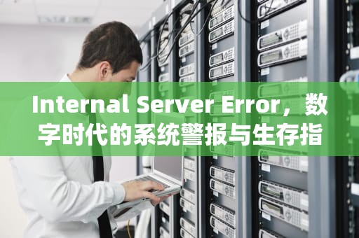 Internal Server Error，数字时代的系统警报与生存指南，internal server error中文翻译
