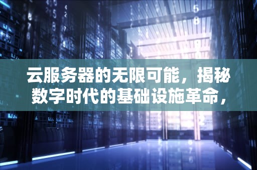 云服务器的无限可能，揭秘数字时代的基础设施革命，云服务器能干什么,具体有什么作用?