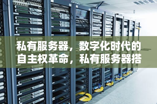私有服务器，数字化时代的自主权革命，私有服务器搭建