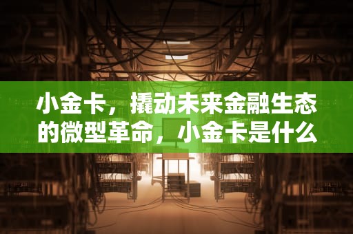 小金卡，撬动未来金融生态的微型革命，小金卡是什么卡?